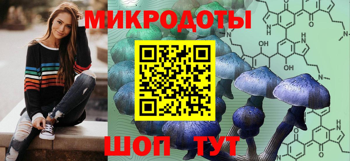 Псилоцибиновые грибы Psilocybine cubensis Камышлов