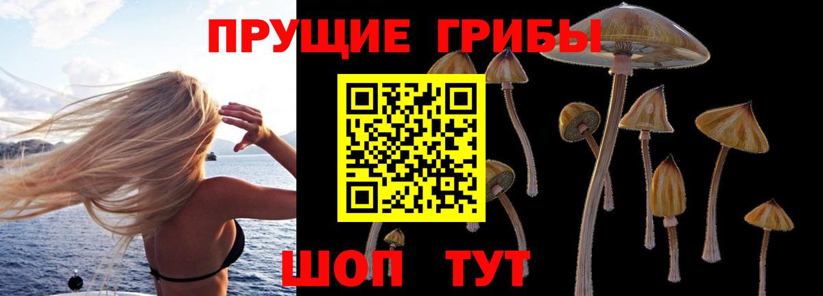 Галлюциногенные грибы Cubensis  Вход с VPN  что такое наркотик  Камышлов 